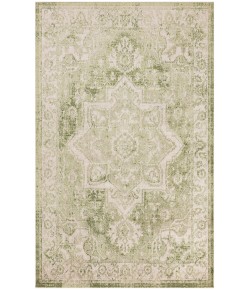 Nourison Astra Machine Washable Ivory Green ASW12 4 ft. X 6 ft. Rectangle Rug