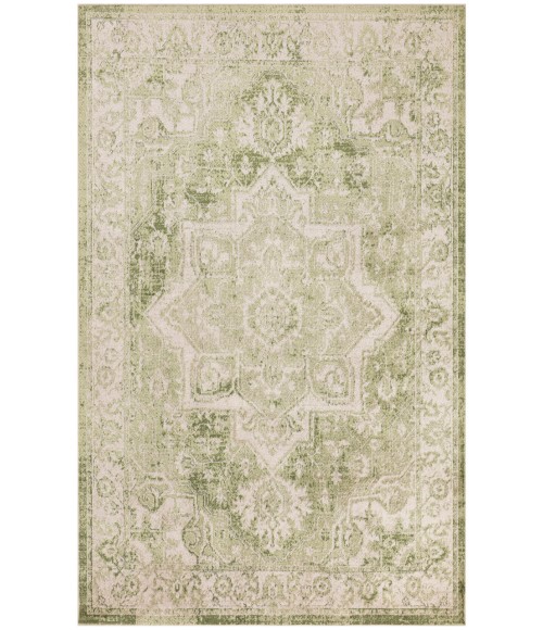 Nourison Astra Machine Washable Ivory Green ASW12 4 ft. X 6 ft. Rectangle Rug
