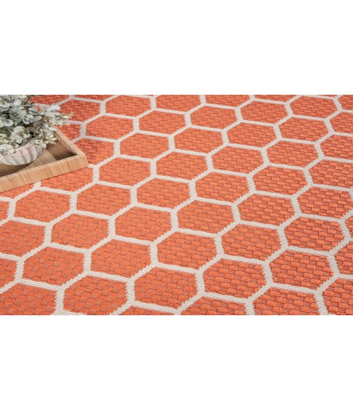 Nourison Reversible Indoor Outdoor Coral RVB01 8 ft. Round Rug