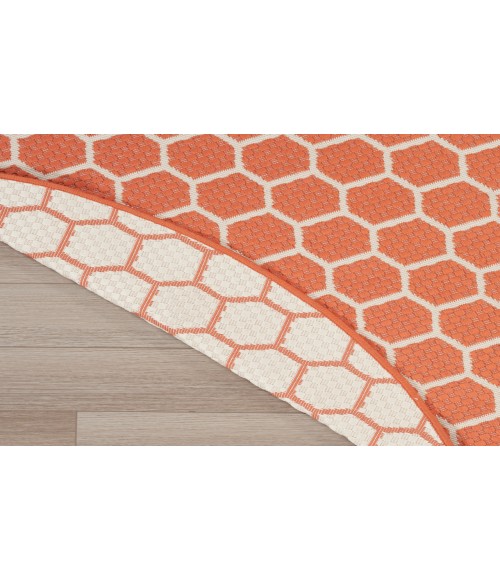 Nourison Reversible Indoor Outdoor Coral RVB01 8 ft. Round Rug