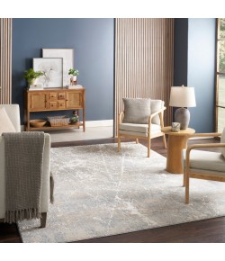 Nourison Splendid Beige Blue SLD02 7 ft. 10 in. X 9 ft. 10 in. Rect. Rug