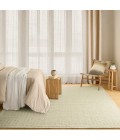 DKNY Pure Grids Light Green PGR01 9 ft. X 12 ft. Rect. Rug