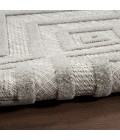 Nourison Versatile Area Rug NRV01 Silver Grey