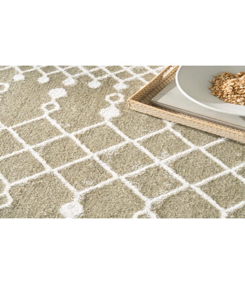 Nourison Astra Machine Washable Sage ASW10 7 ft. 10 in. X 10 ft. Rectangle Rug
