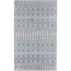 Nourison Astra Machine Washable Blue ASW10 2 ft. X 6 ft. Rectangle Rug