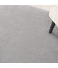 Nourison Nourison Essentials Area Rug NRE01 Silver Grey