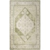 Nourison Astra Machine Washable Ivory Green ASW11 6 ft. 7 in. X 9 ft. Rectangle Rug