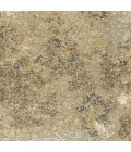 Astor Area Rug Oriental Weavers Area Rug Astor 8322J Gold 2' 3" X 7' 6" Runner