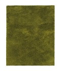 Oriental Weavers Area Rug Cosmo 81101 Green 3' 3" X  5' 3"