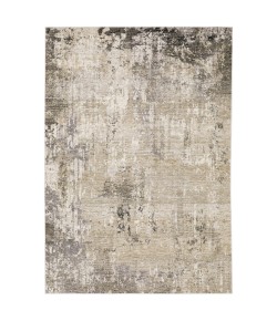 Oriental Weavers Nebulous 002X9 Beige/ Grey Area Rug 3 ft. 3 in. X 5 ft. Rectangle