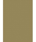 Como Radici USA 782/1510/SAGE Area Rug