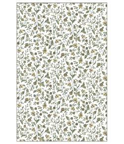 Radici USA Pisa 6674/0020 Bone Rug 3 ft. 3 X 4 ft. 11 Rectangle