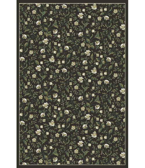 Pisa Radici USA 6674/0011/BROWN Area Rug