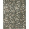 Radici USA Pisa 6674/0043/Ltgreen 2'2 X 7'7 Runner Rug
