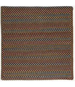 Rhody Woodstock Onyx WO81 10 ft. X 10 ft. Square Braided Rug
