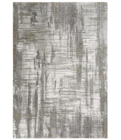 Rizzy Home Anatolia ANT748 Neutral Area Rug 10 ft. X 13 ft. Rectangle