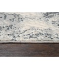 Rizzy Chelsea Area Rug CHS112 3'11" x 5'6" Ceam/Gray