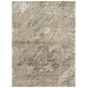 Rizzy Home Finesse FIN102 Neutral Area Rug 2 ft. X 3 ft. Rectangle