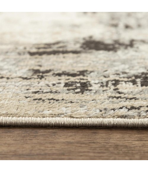 Rizzy Palace PLC852 Gray Area Rug