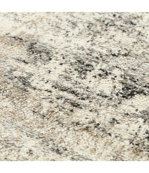 Rizzy Palace PLC854 Neutral Area Rug