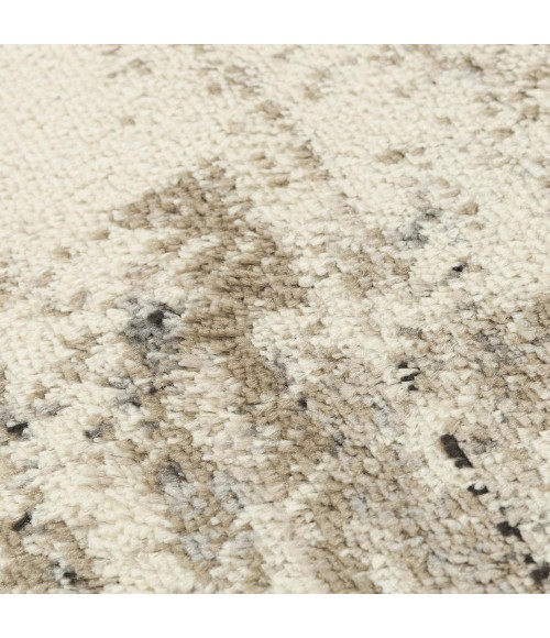 Rizzy Palace PLC854 Neutral Area Rug