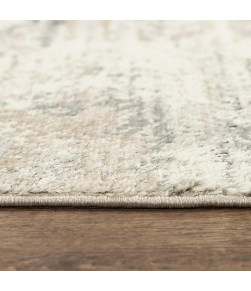 Rizzy Palace PLC854 Neutral Area Rug
