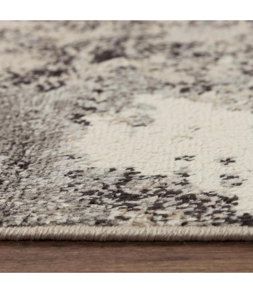 Rizzy Palace PLC856 Neutral Area Rug