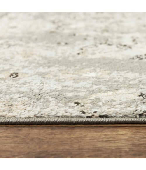 Rizzy Palace PLC859 Gray Area Rug