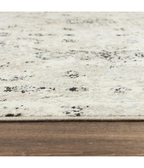 Rizzy Palace PLC860 Neutral Area Rug