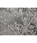 Panache Area Rug Rizzy Panache Area Rug PN6981 3'3" x 5'3" Taupe