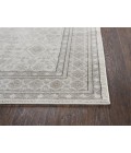 Rizzy Panache Area Rug PN6976 3'3" x 5'3" Beige