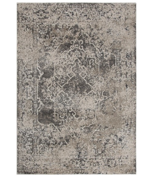 Rizzy Valencia Area Rug VCA101 6'7" x 9'6" Beige
