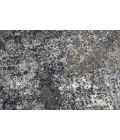 Rizzy Valencia Area Rug VCA104 5'3" x 7'6" Silver