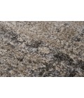 Rizzy Valencia Area Rug VCA107 8'10" x 11'10" Beige