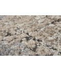 Rizzy Valencia Area Rug VCA108 5'3" x 7'6" Cream