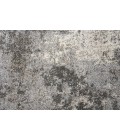 Rizzy Valencia Area Rug VCA109 6'7" x 9'6" Silver