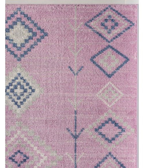 Bodrum Soleil RA30432 pink Area Rug 2 ft. x 4 ft. Rectangle