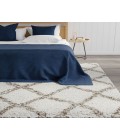 Mason Brooks Indigo Shag RA33322 White Mason Brooks Indigo Shag RA33322 White Area Rug 5 ft. x 7 ft. Rectangle