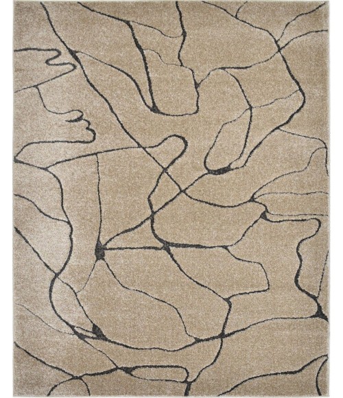 Cadence Chanai RA41270 Cadence Chanai RA41270 Area Rug 5 ft. x 7 ft. 6 in. Rectangle