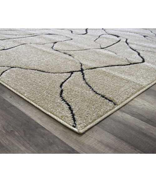 Cadence Chanai RA41270 Cadence Chanai RA41270 Area Rug 5 ft. x 7 ft. 6 in. Rectangle