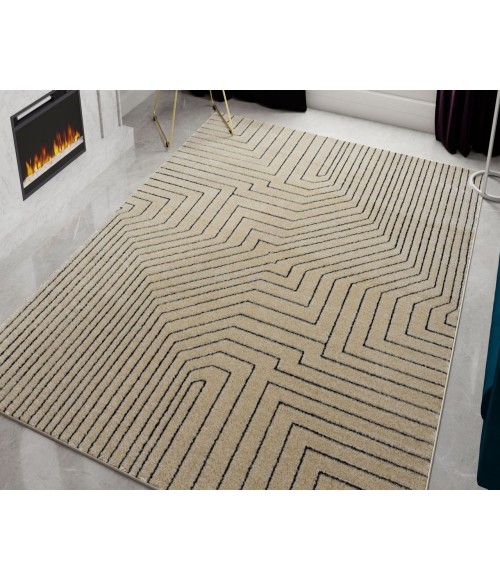 Cadence Chanai RA41338 Area Rug 5 ft. x 7 ft. 6 in. Rectangle