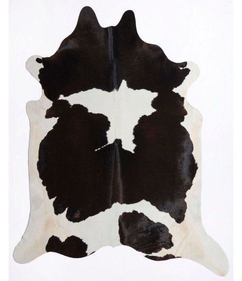 Rugs America Nash RA27899 Black Area Rug 5 ft. x 6 ft. 6 in. Rectangle