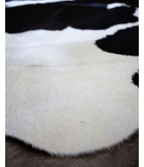 Rugs America Nash RA27899 Black Area Rug 5 ft. x 6 ft. 6 in. Rectangle