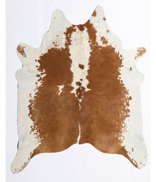Rugs America Nash RA27894 Brown Rugs America Nash RA27894 Brown Area Rug 6 ft. x 8 ft. Rectangle