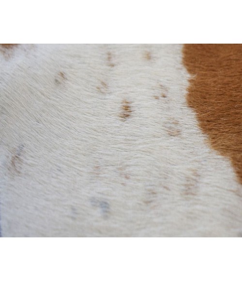 Rugs America Nash RA27894 Brown Rugs America Nash RA27894 Brown Area Rug 6 ft. x 8 ft. Rectangle