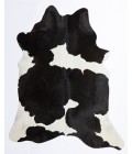 Rugs America Nash RA27896 Black Area Rug 6 ft. x 8 ft. Rectangle