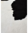 Rugs America Nash RA27896 Black Area Rug 6 ft. x 8 ft. Rectangle