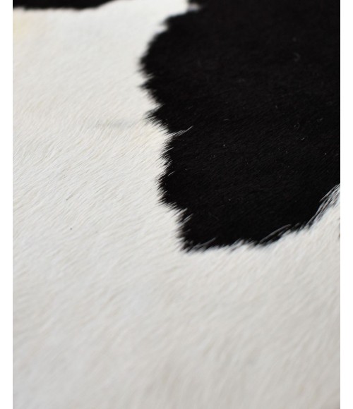 Rugs America Nash RA27896 Black Area Rug 6 ft. x 8 ft. Rectangle