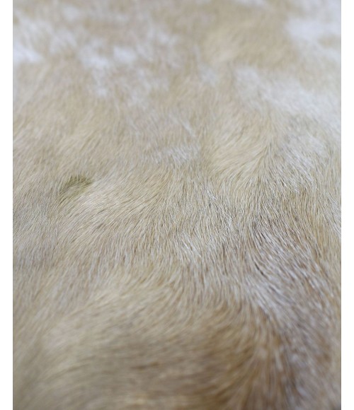 Rugs America Nash RA27913 Beige Area Rug 5 ft. x 6 ft. 6 in. Rectangle