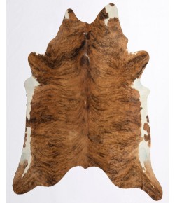 Rugs America Nash HC28 Medium E X otic 28 Animal Contemporary Multi Area Rug, 6 ft. X 8 ft.